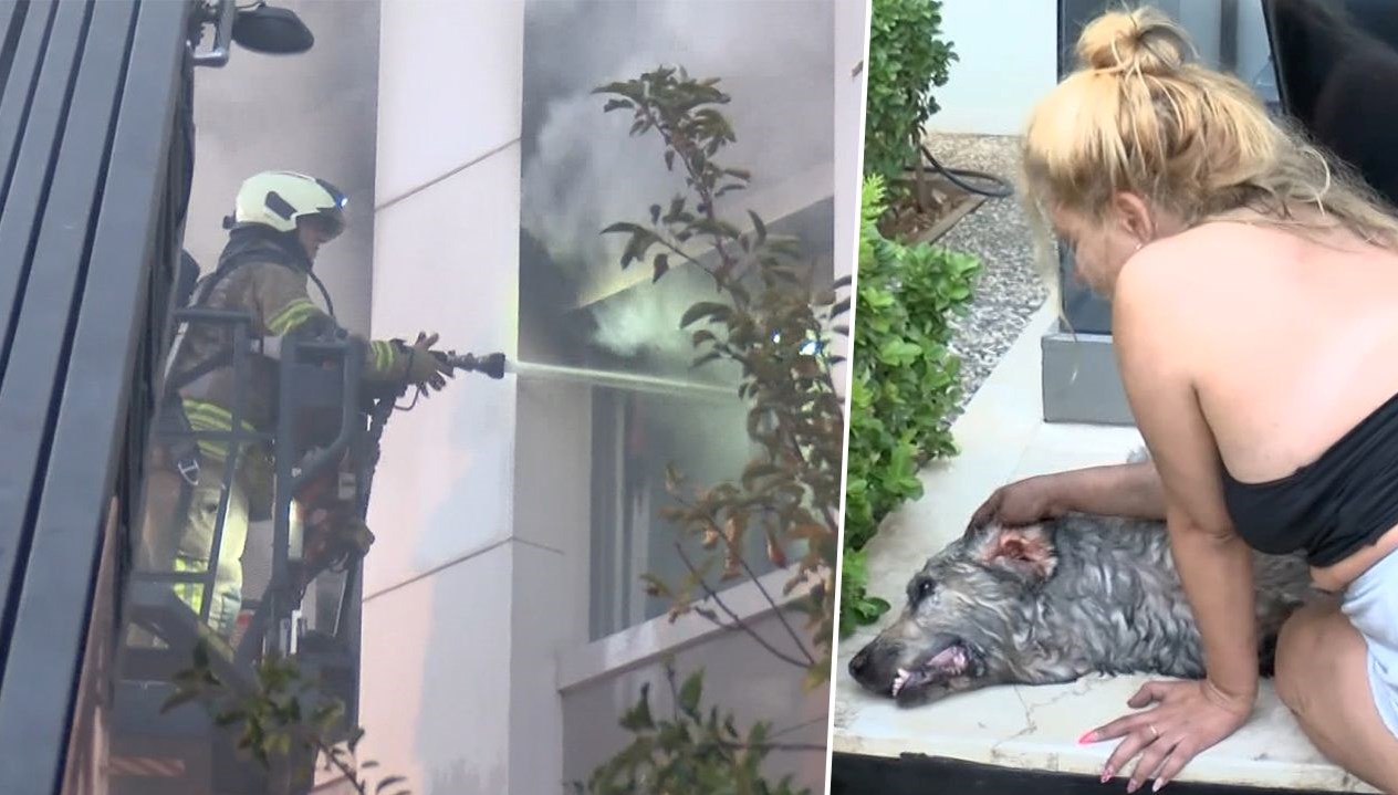 ares kurtarilamadi gozyaslarina boguldu PfmYX9LL