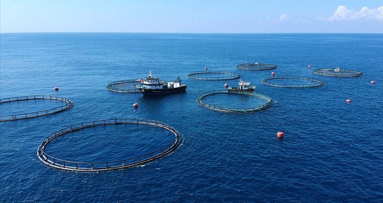 turk su urunlerine kanada pazari yeniden acildi 5IFxdKYc