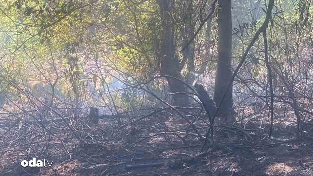 zonguldakta orman yangini fSqnqKU9