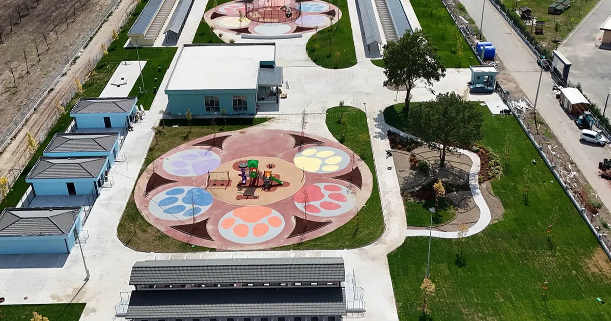 sakaryada sokak hayvanlarina guvenli yuva iQBIOtiQ