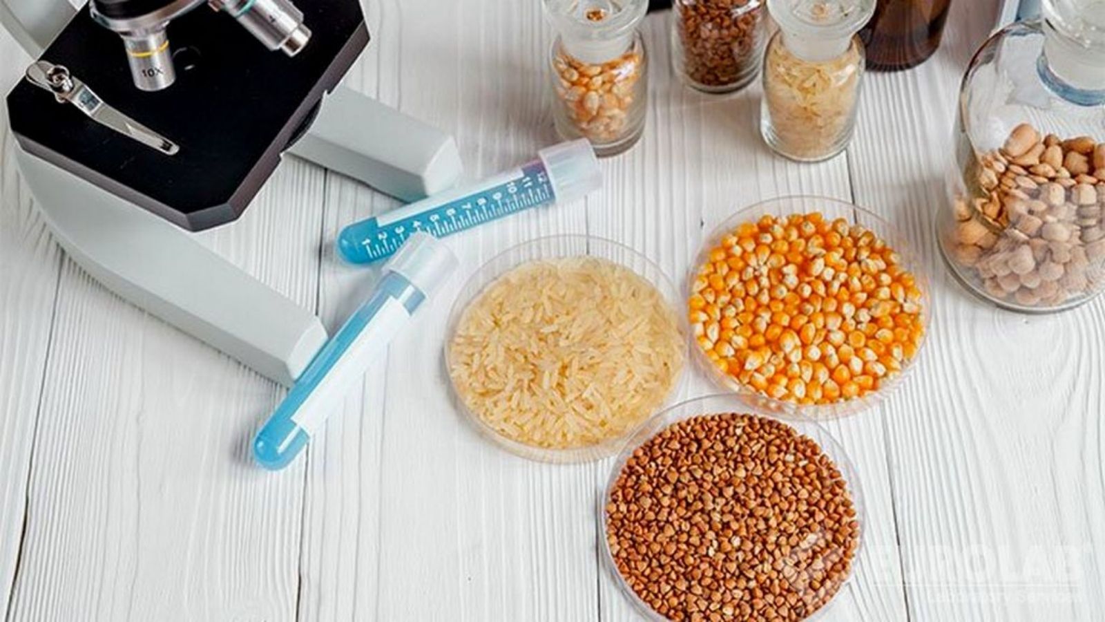 tmr ve kaba yemlerde yem analizi makinesi avantajlari izuFn9fG