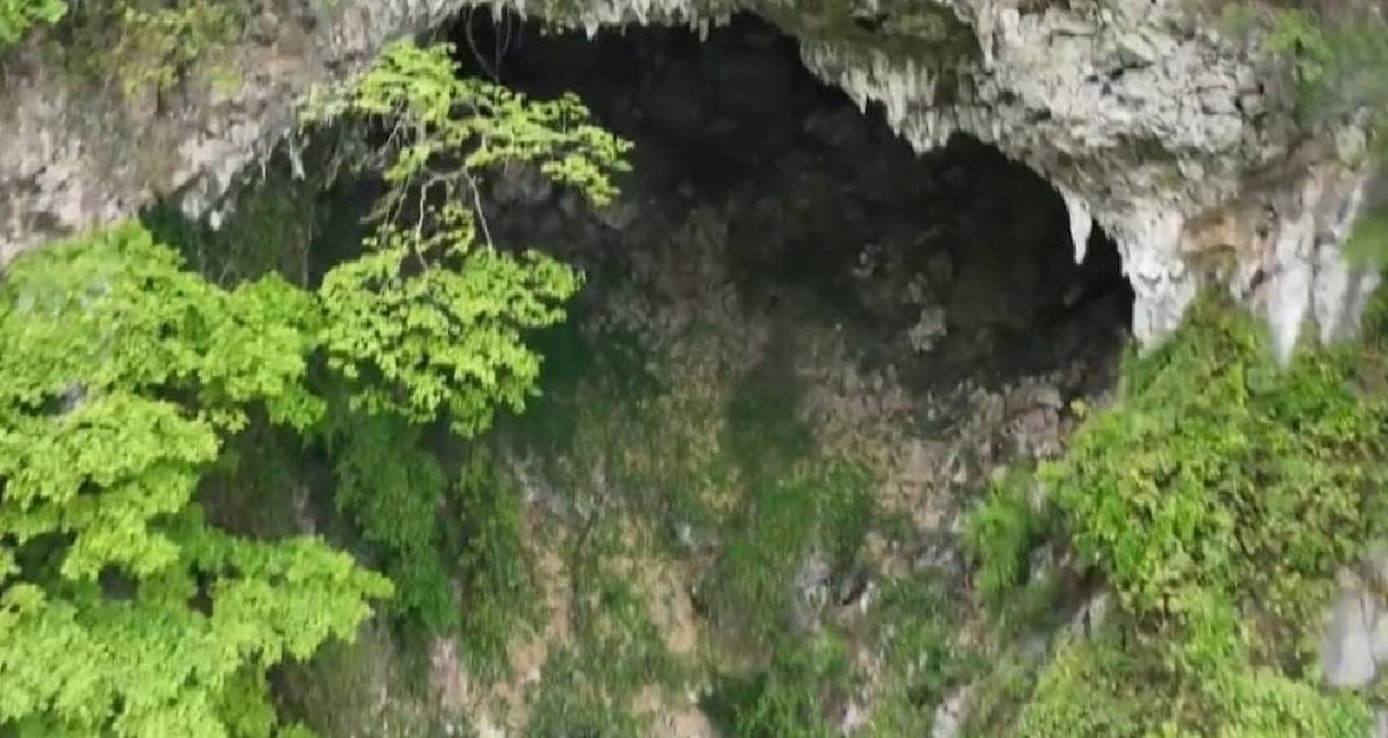 Yerin 200 Metre Derinliğinde Gizli Bir Orman Keşfedildi