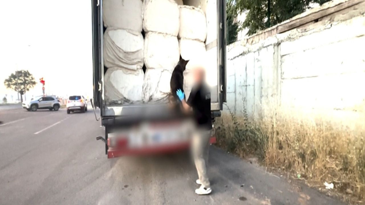 İki TIR’daki uyuşturucuyu narkotik köpeği ‘Mailo’ buldu Haber gorseli