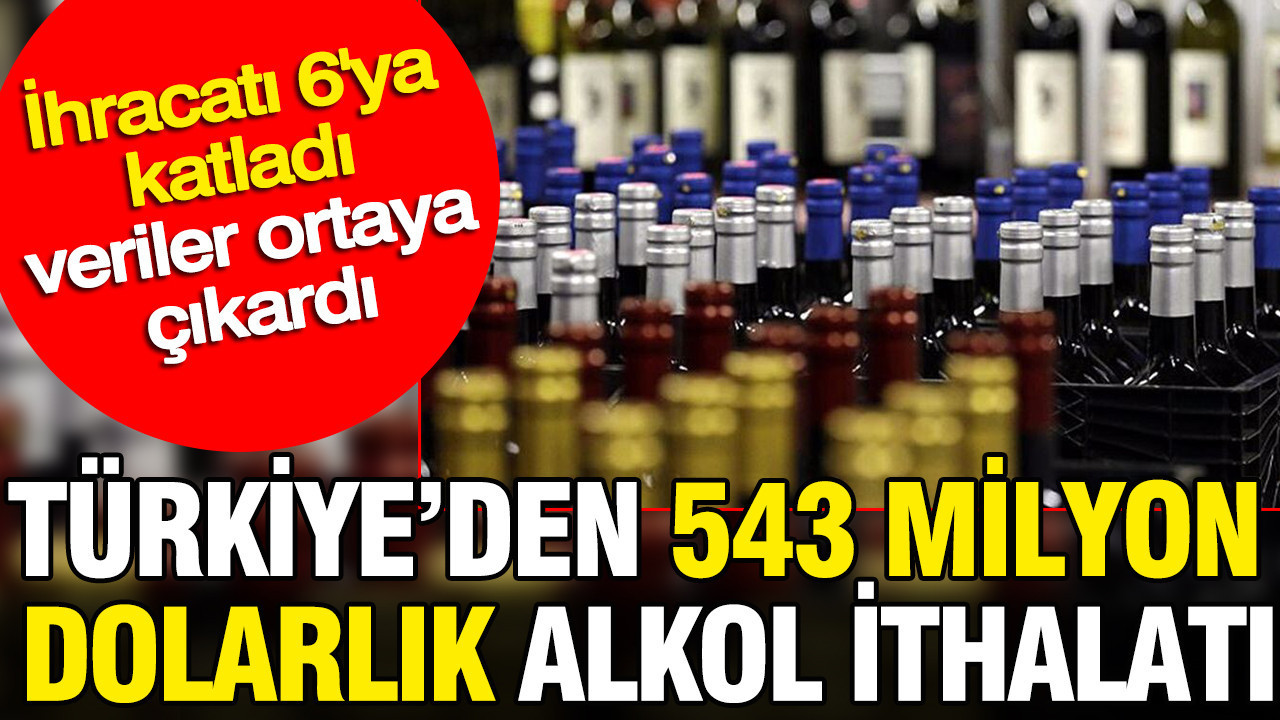 Türkiye’den 543 milyon dolarlık alkol ithalatı: İhracatı 6’ya katladı veriler ortaya çıkardı Img
